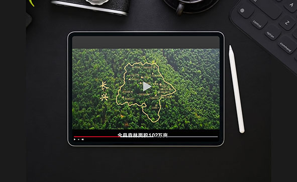 长兴县宣传片《森林长兴》